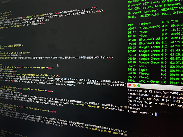 Screen of Programming